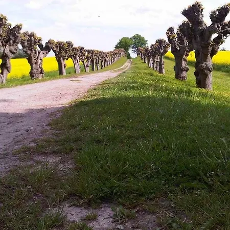 Dwarsloeper Whg Dwa30 * Boltenhagen (Ostseebad)