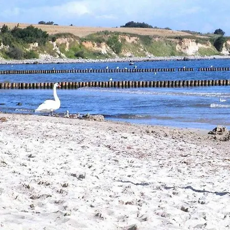 Apartmán Dwarsloeper Whg Dwa30 *