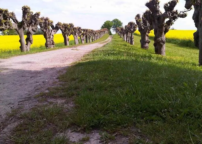 Dwarsloeper Whg Dwa30 * 博尔滕哈根