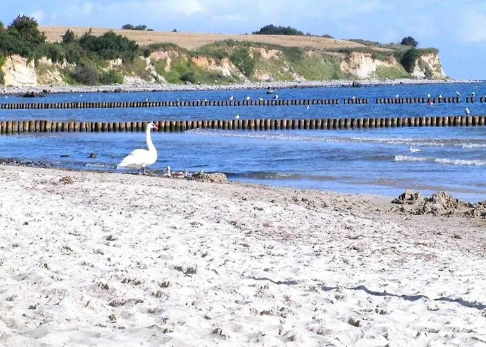 公寓 Dwarsloeper Whg Dwa30 *